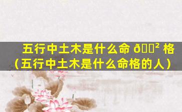 五行中土木是什么命 🌲 格（五行中土木是什么命格的人）